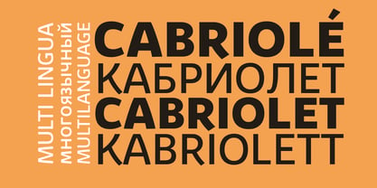 Kabrio Font Poster 10