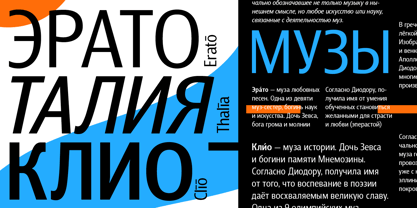 Barnaul Grotesk Font Poster 4