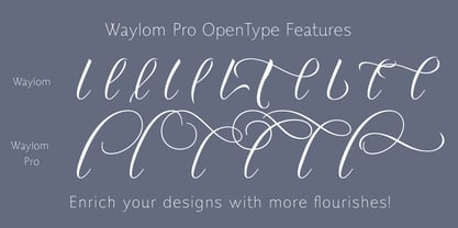 Waylom Font Poster 4