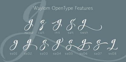 Waylom Font Poster 3