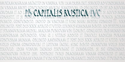 PB Capitalis Rustica IVc Font Poster 3