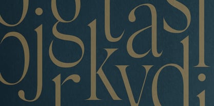 Silk Serif Condensed Font Poster 4