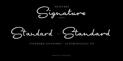 Signature Script Font Poster 6