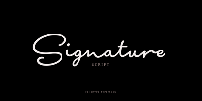 Signature Script Font Poster 1