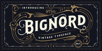 Bignord Vintage Font Poster 8