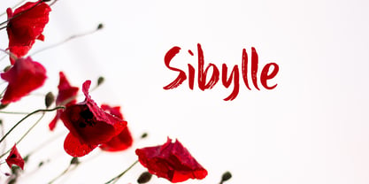 Sibylle Font Poster 7