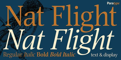 Nat Flight Font Poster 1