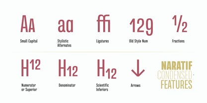 Naratif Condensed Font Poster 3