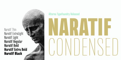 Naratif Condensed Font Poster 10