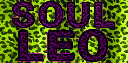 Soul Leo Font Poster 3