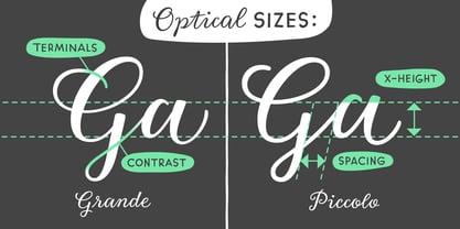 Gretel Script Font Poster 4