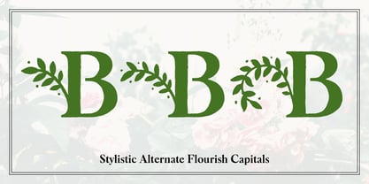 Botany Font Poster 9