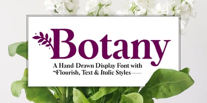 Botany Font Poster 12