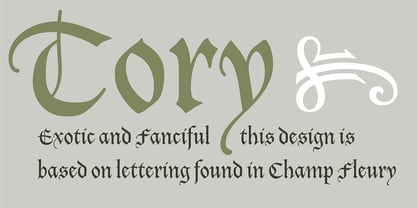 Tory Font Poster 4