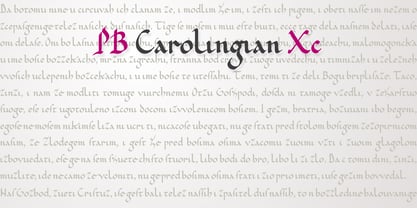 PB Carolingian Xc Font Poster 1