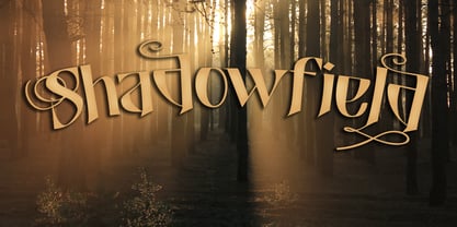 Shadowfield Font Poster 6