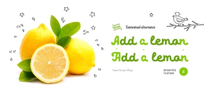 Limes Font Poster 14