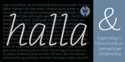 Halla Font Poster 4