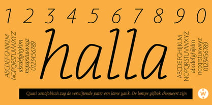 Halla Font Poster 7