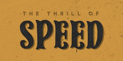 SparkPlug Font Poster 4