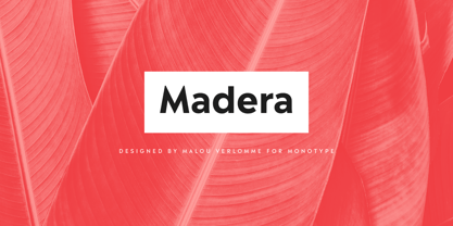 Madera Font Poster 1