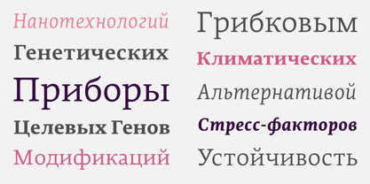 Edit Serif Cyrillic Fuente Póster 2