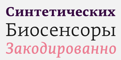 Edit Serif Cyrillic Font Poster 3