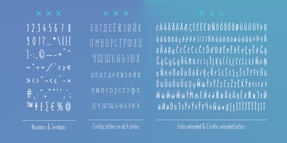 Monly Font Poster 6