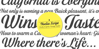 Noelia Script Pro Font Poster 4