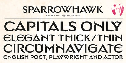 Sparrowhawk Font Poster 4