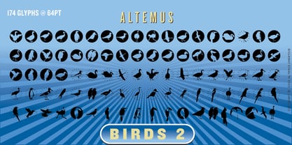 Altemus Birds Font Poster 5