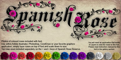 Spanish Rose Font Poster 1