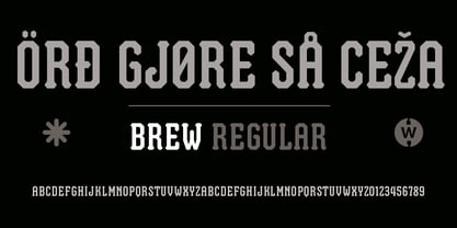 Brew Fuente Póster 2