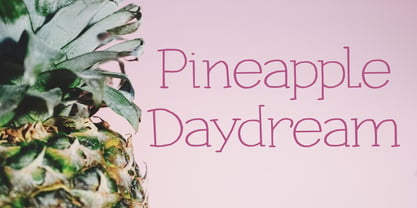 Pineapple Daydream Fuente Póster 5