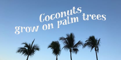 Coconut Punch Font Poster 4