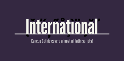 Kaneda Gothic Font Poster 4