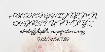 Angeletta Font Poster 3