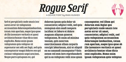 Rogue Serif Font Poster 6