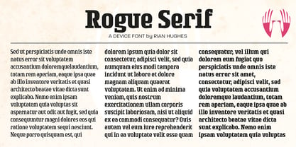 Rogue Serif Font Poster 4