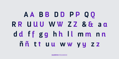Darwin Rounded Font Poster 8