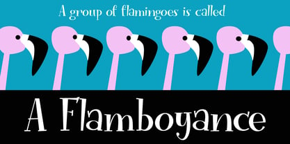 Funky Flamingo Font Poster 5