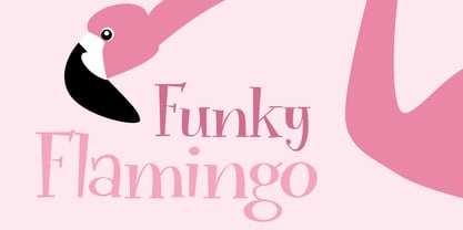 Funky Flamingo Fuente Póster 6