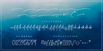 Wild Heart Font, Webfont & Desktop