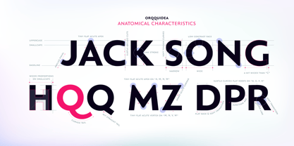 Orqquidea Font Poster 4