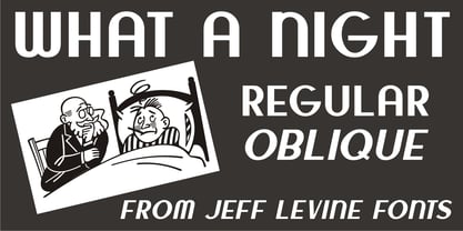 What A Night JNL Font Poster 1