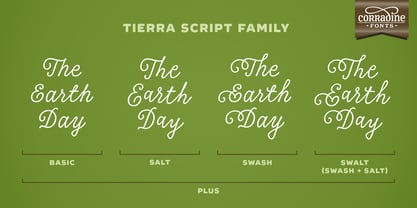 Tierra Script Font Poster 2