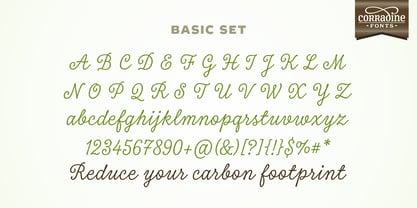 Tierra Script Font Poster 4