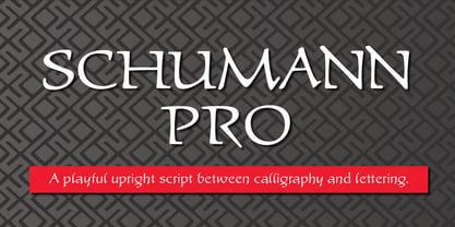 P22 Schumann Pro Font Poster 6