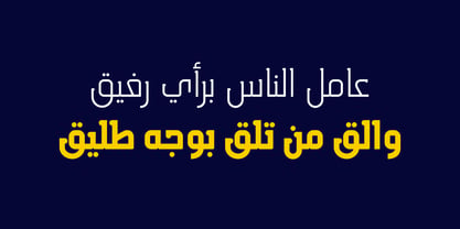 HS Almisk Serif Police Poster 1