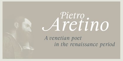 Aretino Fuente Póster 5